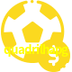 Aposte em esportes do mundo todo no quadrilhapg!